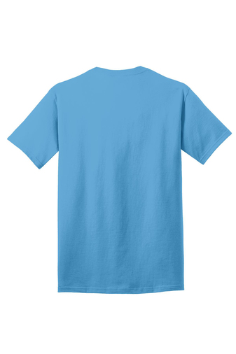 Aquatic Blue Back